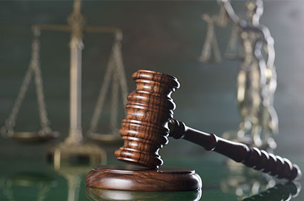 Thief Shoplifting in New York